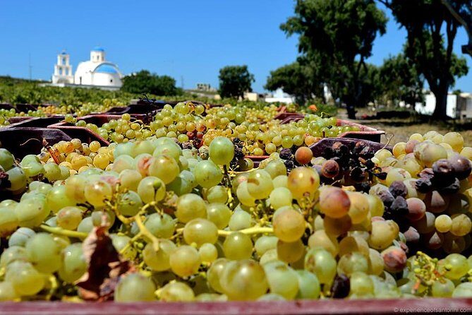 Santorini wine roads Half day - What’s Included and What You Should Know