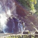 São Miguel in Two Days: A Perfect Blend of Nature & Culture - The Bottom Line