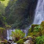 São Miguel: Majestic North Tour (Local Lunch Incl.) - Who Would Love This Tour?