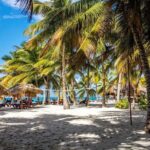 Saona Island Cruise & Private Beach - What to Expect from the Itinerary