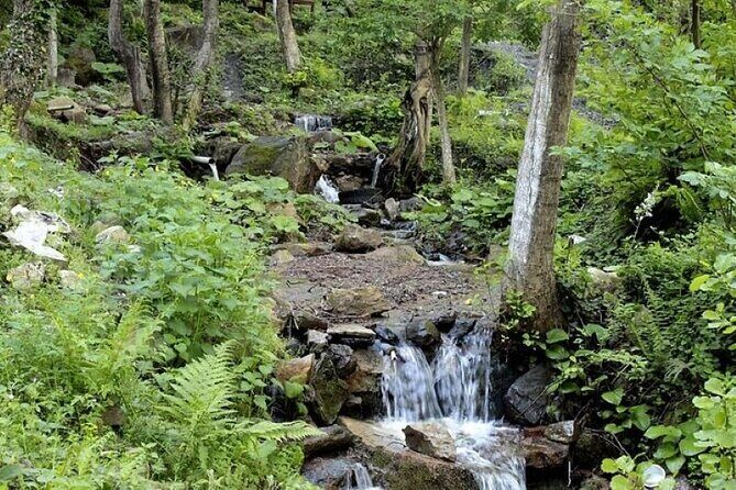 Sapanca and Masukiye from Istanbul with Lunch and Hotel pickup - Exploring the Itinerary: What You Can Expect