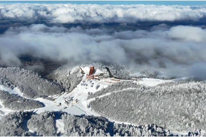 Sapanca and Zoo Private Tour From Istanbul - VIP Minivan - Best Quality - Whats Included and Whats Not