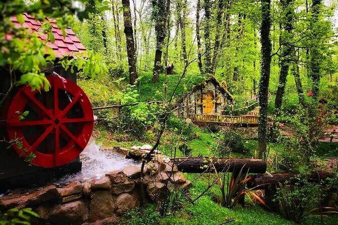 Sapanca - Masukiye Full Day Tour with Lunch - FAQ