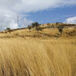 Saranda: Tour in South of Albania (Butrint, Blue Eye, Ksamil) - Final Thoughts: Is It Worth It?