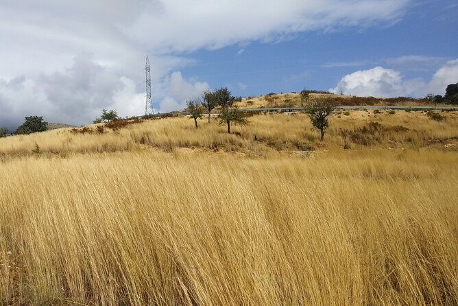 Saranda: Tour in South of Albania (Butrint, Blue Eye, Ksamil) - Final Thoughts: Is It Worth It?