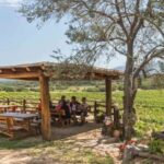 Sardinia: Dorgali Winery Tour with Tasting and Local Guide - Who Will Love This Tour?