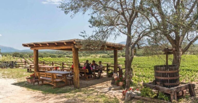 Sardinia: Dorgali Winery Tour with Tasting and Local Guide - Who Will Love This Tour?