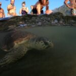 Sarigerme: Dalyan, Turtle Beach, Mud Bath, & King Tombs Tour - Final Thoughts