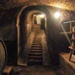 Saturnia and Città del Tufo in E Bike - Final Thoughts