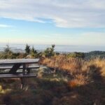 Scenic tour to Steinsfjellet, locals at Kringsjå & Rising Tide - Transport, Group Size, and Practicalities
