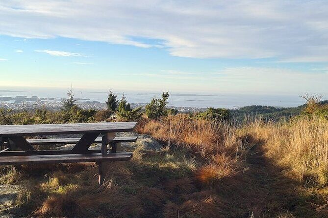 Scenic tour to Steinsfjellet, locals at Kringsjå & Rising Tide - Transport, Group Size, and Practicalities