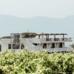 Scenic Wine Tasting & Lunch on the Slopes of Vesuvius from Naples - Practical Details and Value