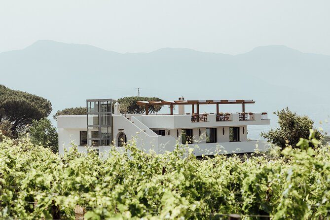 Scenic Wine Tasting & Lunch on the Slopes of Vesuvius from Naples - Practical Details and Value