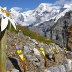 Schilthorn Day Trip and Bond World 007 from Geneva - The Cable Car and Mountain Ascent