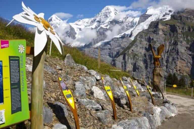 Schilthorn Day Trip and Bond World 007 from Geneva - The Cable Car and Mountain Ascent