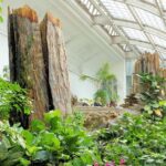 Schmetterlinghaus - Imperial Butterfly House Vienna Admission Ticket - Final Thoughts: The Value of a Short But Sweet Visit