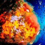 Scuba Diving Baptism and Snorkeling in Ibiza - The Itinerary: Step-by-Step