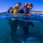 Scuba Diving Baptism Experience in Santa Cruz Tenerife - Exploring the Details of the Santa Cruz Tenerife Scuba Baptism