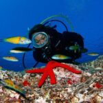 Scuba Diving Baptism in Caleta de Fuste - The Practicalities: Pricing, Booking, and What You Receive