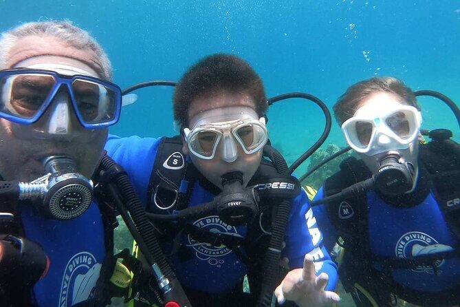 Scuba Diving (Basic Diver - 2 dives) - What to Expect on the Tour