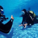 Scuba Diving Experience for Beginners in Ponta de São Lourenço - The Marine Life and Underwater Experience