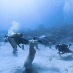 Scuba Diving Experience + Free Edited Video - The Practicalities: Booking, Cost, and Value