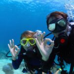 Scuba Diving Experience in Antalya with Lunch and Transfer - The Value of This Experience