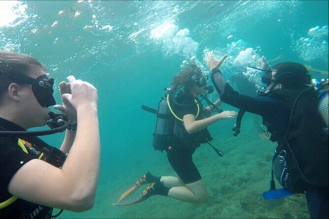 Scuba diving for beginners Cambrils with hotel Pickup - Who Is This Tour Best For?