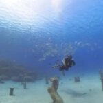 Scuba diving-private and individual No certification needed - What to Expect from the Experience