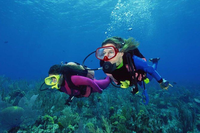 Scuba Diving Tour From Alanya - Side - Antalya - FAQ