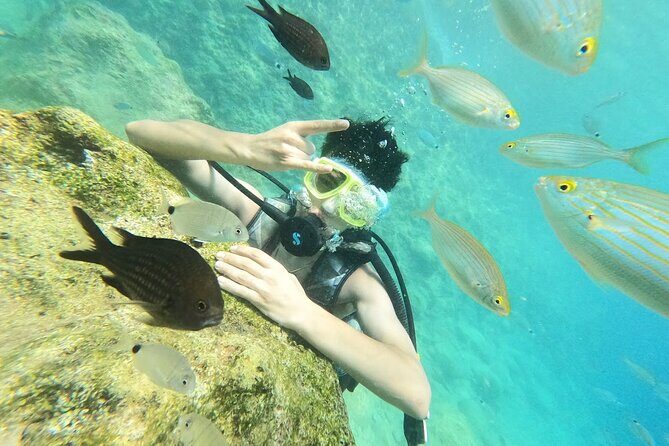 Scuba Diving Tour With Lunch in Alanya - What to Expect from the Scuba Diving Tour in Alanya