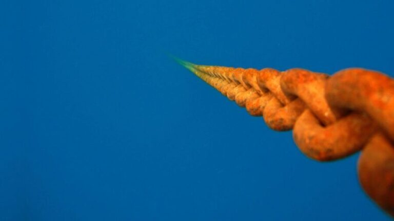 Scuba Diving Tour with Transfer From Alanya and city of Side - The Value of This Experience