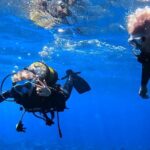 Scuba Experience in Tenerife with Guide - The Itinerary Breakdown