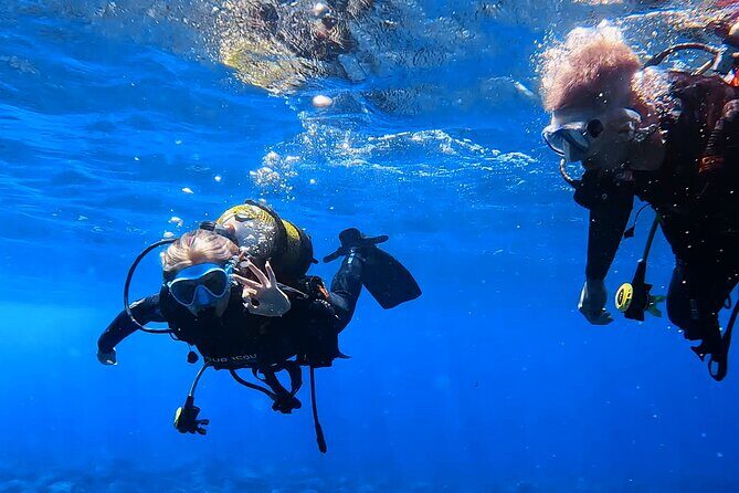 Scuba Experience in Tenerife with Guide - The Itinerary Breakdown