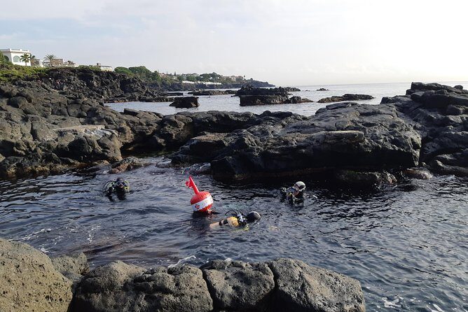 Scuba Experience - Who Should Consider This Tour?