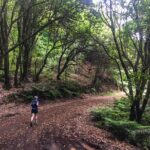 Sea 2 Mountain Running Tour (Moderate-Hard) - Who Will Enjoy This Tour?