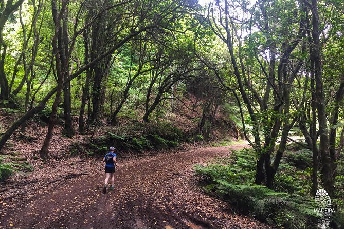 Sea 2 Mountain Running Tour (Moderate-Hard) - Who Will Enjoy This Tour?