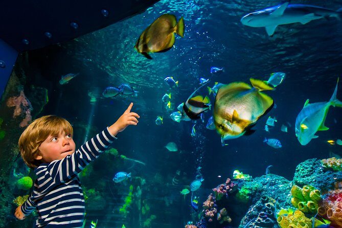 SEA LIFE Konstanz Admission Ticket - Review Summary & Who Should Visit