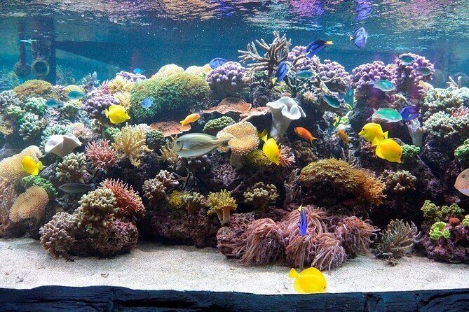 SEA LIFE Speyer Admission Ticket - The Sum Up