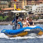 SEA SAFARI, Dolphins, Whales, snorkeling, snack and drink, 2 h speedboat - Frequently Asked Questions