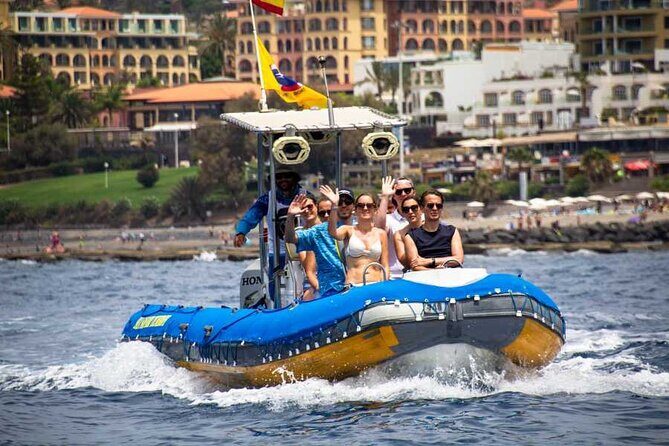 SEA SAFARI, Dolphins, Whales, snorkeling, snack and drink, 2 h speedboat - Frequently Asked Questions