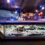 Sealife Benalmadena Entrance Ticket - Who Will Love This Experience?