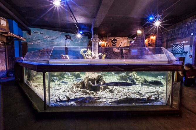 Sealife Benalmadena Entrance Ticket - Who Will Love This Experience?