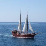 Sealife Dolphin & Whale Watching aboard Portuguese schooner - The Sum Up