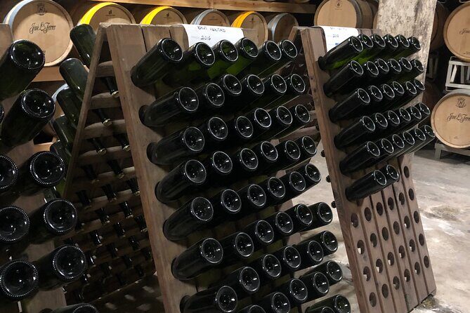 Secret Corners and Tastes of Mallorca by Private SUV Tour - Who Is This Tour Best For?