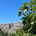 Secret Split: Socialist Architecture & brutalism - Urban Utopia - Who Should Take This Tour?