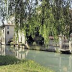 Secret Treviso Walking Tour - What Visitors Say: Authentic Insights from Reviews