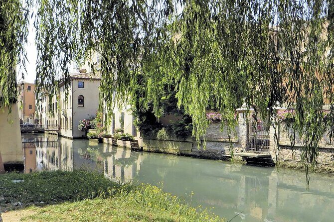 Secret Treviso Walking Tour - What Visitors Say: Authentic Insights from Reviews