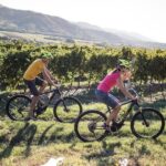 Secret vineyards E-bike tour - The Itinerary Breakdown