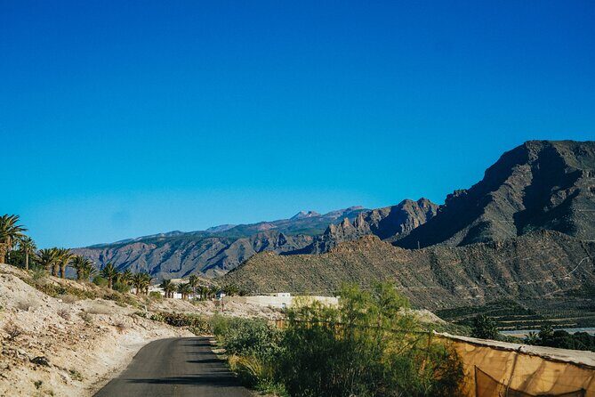 Secret Volcano Tour by Tuk Tuk in Costa Adeje - Exploring the Tour in Detail